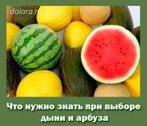 Chto nuzhno znat pri vybore dyni i arbuza