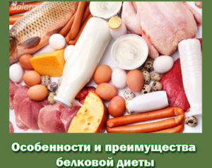 Osobennosti i preimushhestva belkovoj diety