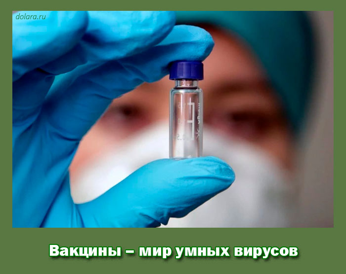 Вакцины – мир умных вирусов