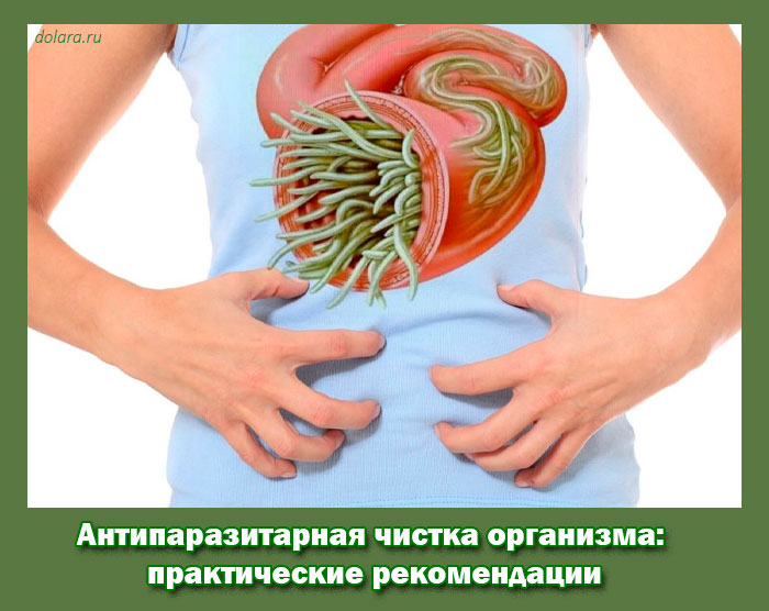 антипаразитарная, чистка, организма, практические, рекомендации