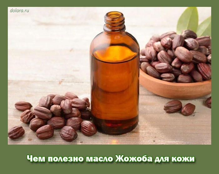 Чем полезно масло Жожоба для кожи