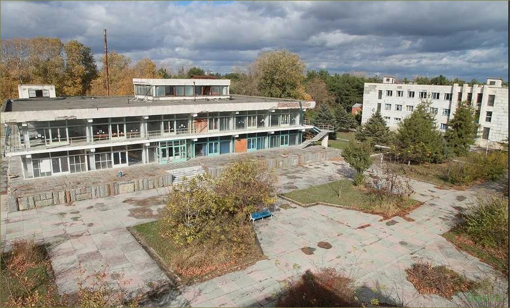 Пионерский лагерь: организация отдыха и развитие детей