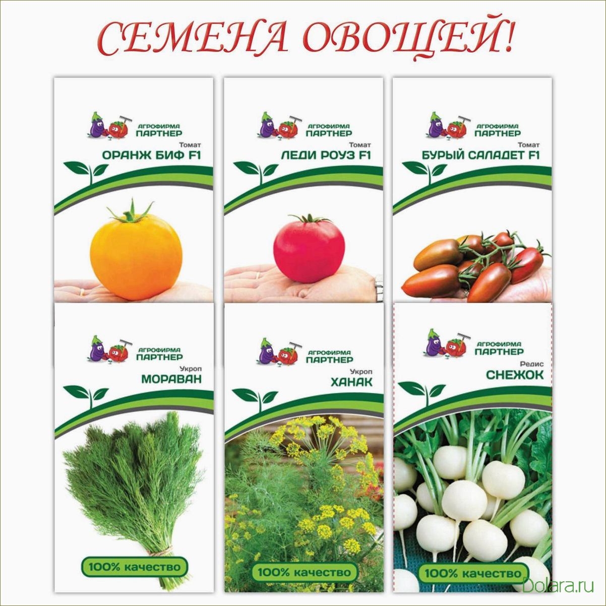 (семена, интернет, магазине, широкий, выбор) Семена в интернет магазине — широкий выбор качественных семян для сада и огорода