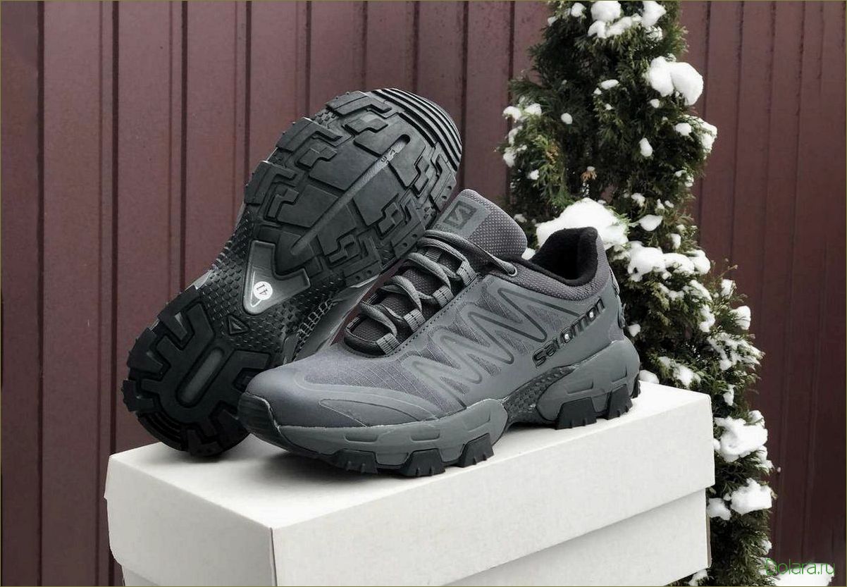 Мужские кроссовки Salomon